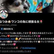 ヒメ日記 2025/11/20 14:18 投稿 なつみ チューリップ土浦店