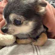 ヒメ日記 2025/11/21 05:48 投稿 なつみ チューリップ土浦店