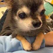 ヒメ日記 2025/11/22 07:18 投稿 なつみ チューリップ土浦店