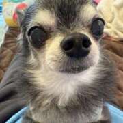 ヒメ日記 2025/11/24 18:18 投稿 なつみ チューリップ土浦店