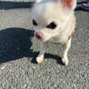 ヒメ日記 2025/11/26 17:18 投稿 なつみ チューリップ土浦店