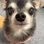 ヒメ日記 2025/11/27 10:38 投稿 なつみ チューリップ土浦店