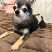 ヒメ日記 2025/11/28 06:08 投稿 なつみ チューリップ土浦店