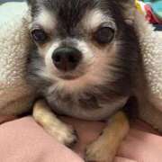 ヒメ日記 2025/11/28 18:21 投稿 なつみ チューリップ土浦店