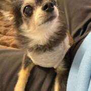 ヒメ日記 2025/11/28 19:58 投稿 なつみ チューリップ土浦店