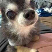 ヒメ日記 2025/11/30 04:08 投稿 なつみ チューリップ土浦店