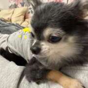 ヒメ日記 2025/12/01 10:08 投稿 なつみ チューリップ土浦店