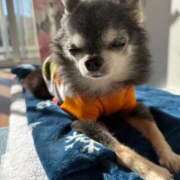 ヒメ日記 2025/12/07 12:58 投稿 なつみ チューリップ土浦店