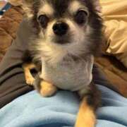 ヒメ日記 2025/12/09 17:09 投稿 なつみ チューリップ土浦店