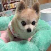 ヒメ日記 2025/12/10 06:18 投稿 なつみ チューリップ土浦店