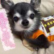 ヒメ日記 2025/12/18 08:19 投稿 なつみ チューリップ土浦店