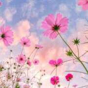 ヒメ日記 2026/02/25 21:20 投稿 葉月ももか セカンドパートナー