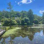 ヒメ日記 2025/07/12 09:13 投稿 ひびき 脱がされたい人妻 木更津店