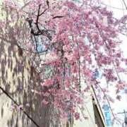 美空 (みそら) 美空復帰🌸 丸妻 錦糸町店