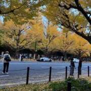 ヒメ日記 2025/11/22 14:20 投稿 ゆき ぷるるんギャング