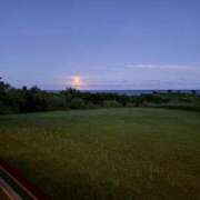 ヒメ日記 2025/11/13 14:59 投稿 のどか あふたーすくーる本店