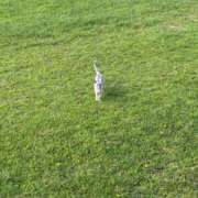 ヒメ日記 2025/11/19 22:42 投稿 のどか あふたーすくーる本店