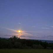 ヒメ日記 2025/11/26 15:15 投稿 のどか あふたーすくーる本店