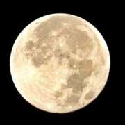 ヒメ日記 2025/11/05 23:23 投稿 Chisato Asou ELEGANT－エレガント－