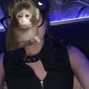 ヒメ日記 2025/11/06 21:08 投稿 そら Hera club