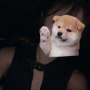 ヒメ日記 2025/11/11 20:39 投稿 そら Hera club