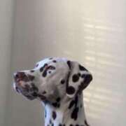 ヒメ日記 2025/08/04 12:46 投稿 ナナ マテリアル