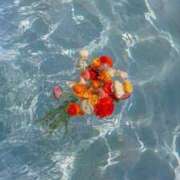 ヒメ日記 2025/08/08 20:46 投稿 ナナ マテリアル