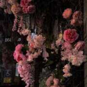 ヒメ日記 2025/08/11 05:01 投稿 ナナ マテリアル