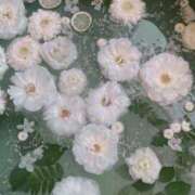 ヒメ日記 2025/08/12 12:16 投稿 ナナ マテリアル