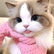 ヒメ日記 2025/11/17 23:16 投稿 ナナ マテリアル