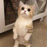 ヒメ日記 2025/12/15 14:31 投稿 ナナ マテリアル