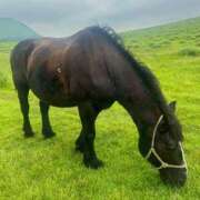 ヒメ日記 2026/01/05 11:01 投稿 ナナ マテリアル