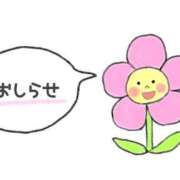 ヒメ日記 2026/01/24 11:46 投稿 ナナ マテリアル