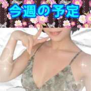 すてら 今週の予定 熟女の風俗最終章 池袋店