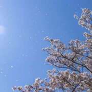 ヒメ日記 2026/04/08 10:28 投稿 ここあ 恋愛マット同好会