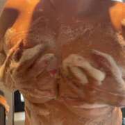 ヒメ日記 2026/01/13 10:28 投稿 ゆず セクシーキャット 小田原店