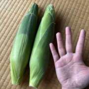 ヒメ日記 2025/09/02 09:04 投稿 やよい 夜這専門発情する奥様たち 難波店