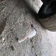 ヒメ日記 2025/12/22 13:44 投稿 やよい 夜這専門発情する奥様たち 難波店