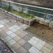 ヒメ日記 2026/02/15 12:00 投稿 あゆむ MOMO(モモ)