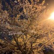 あゆむ 照れる⸝⸝⸝♡ MOMO(モモ)