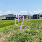 ヒメ日記 2025/07/17 14:03 投稿 かりん 三重松阪ちゃんこ