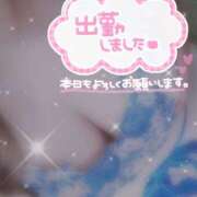 ヒメ日記 2025/07/19 19:56 投稿 新人くみ Rips（リップス）