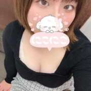 ヒメ日記 2025/11/06 16:32 投稿 みなつ 白いぽっちゃりさん