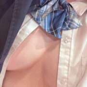 みなつ いかがお過ごしですか😸🫵 白いぽっちゃりさん