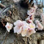 ヒメ日記 2026/03/02 23:12 投稿 あお【エロさ溢れる神スタイル】 One More 奥様 新宿店