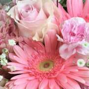 ヒメ日記 2025/07/19 11:40 投稿 白川ゆみ セカンドパートナー