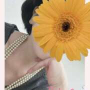 ヒメ日記 2025/08/01 12:40 投稿 白川ゆみ セカンドパートナー