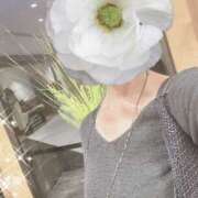 ヒメ日記 2025/08/13 09:50 投稿 白川ゆみ セカンドパートナー