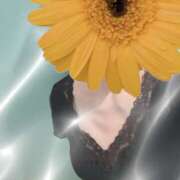 ヒメ日記 2025/08/16 09:55 投稿 白川ゆみ セカンドパートナー