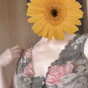 ヒメ日記 2025/08/18 09:40 投稿 白川ゆみ セカンドパートナー